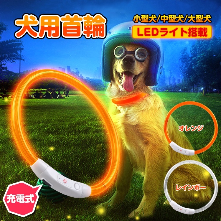 おすすめ特集 安全LEDライト 青 電池式 夜 散歩 サイズ調整 子供 犬 取り付け簡単