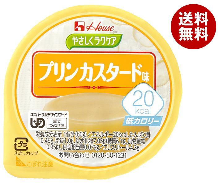 ハウス食品 やさしくラクケア 20kcal プリンカスタード味 60g＊48個入
