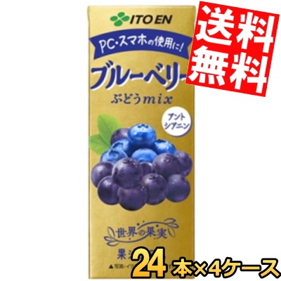 伊 藤 園 ブルーベリーmix 200ml紙パック 96本 (24本 4ケース) ブルーベリーぶどうミックス アントシアニン 香料酸味料着色料無添加 ジュース 3day