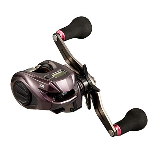 人気を誇る 21 ダイワ Daiwa 紅牙 150l Ic リール Www Spira Edu Co