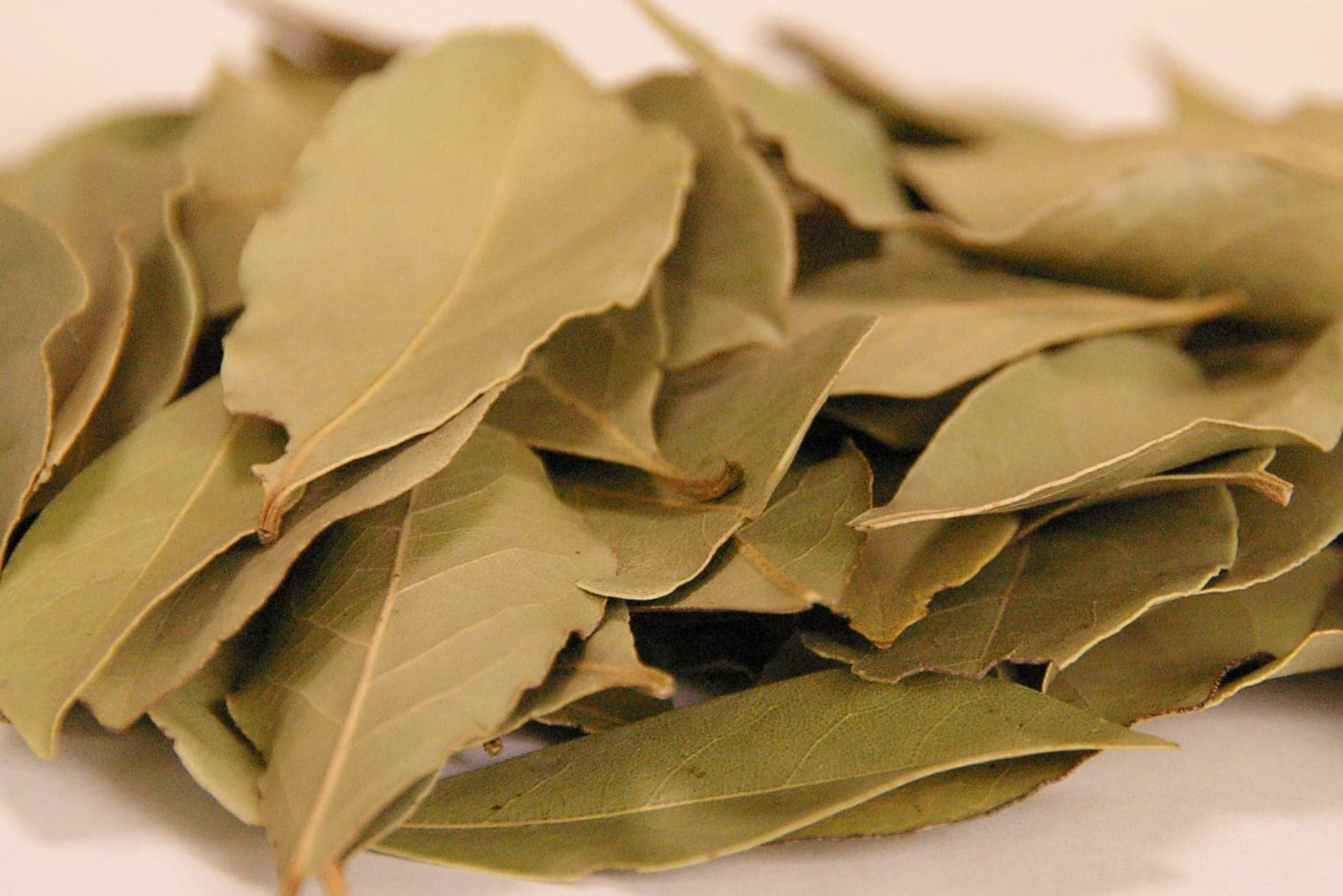 4034/【voxspice】【業務用】オーガニック ローレル 100g トルコ産 JAS 有機栽培 無農薬 スパイス/香辛料