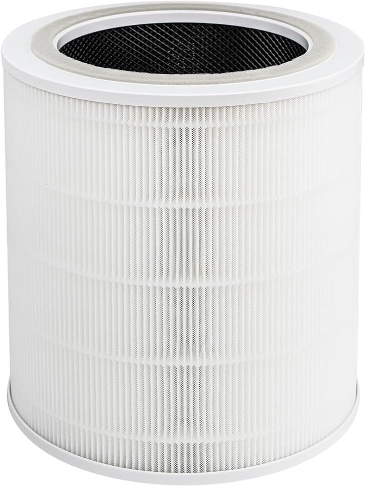 BBT Core 400S フィルター 400S交換用フィルター LAP-C401S-WJP 空気清浄機 交換フィルター 空気清浄機交換用フィルター( Core 400S x 1)