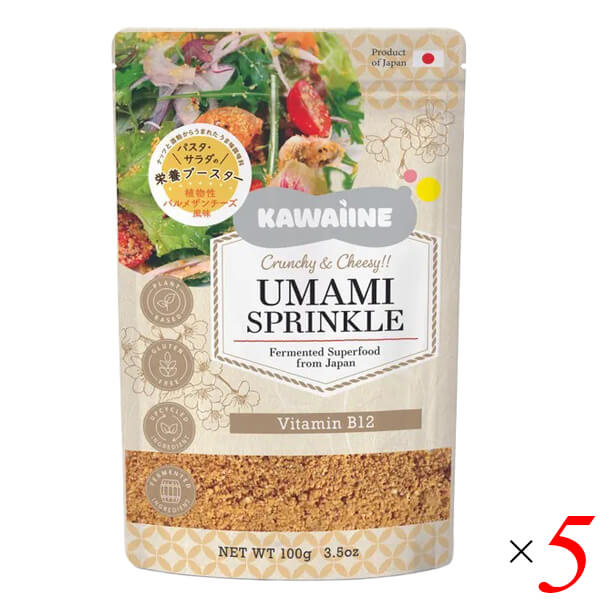 酒粕とナッツからできた植物性パルメザン風味 100g 5個セット パウチタイプ