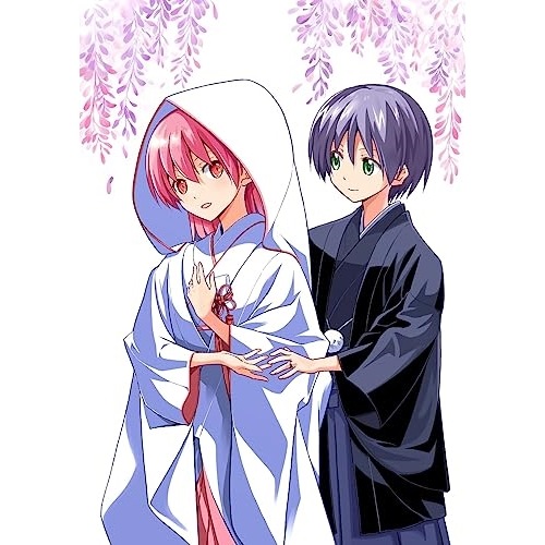 トニカクカワイイ(シーズン2) Blu-ray BOX(Blu-ray Disc.. (Blu-ray) KWXA-2920