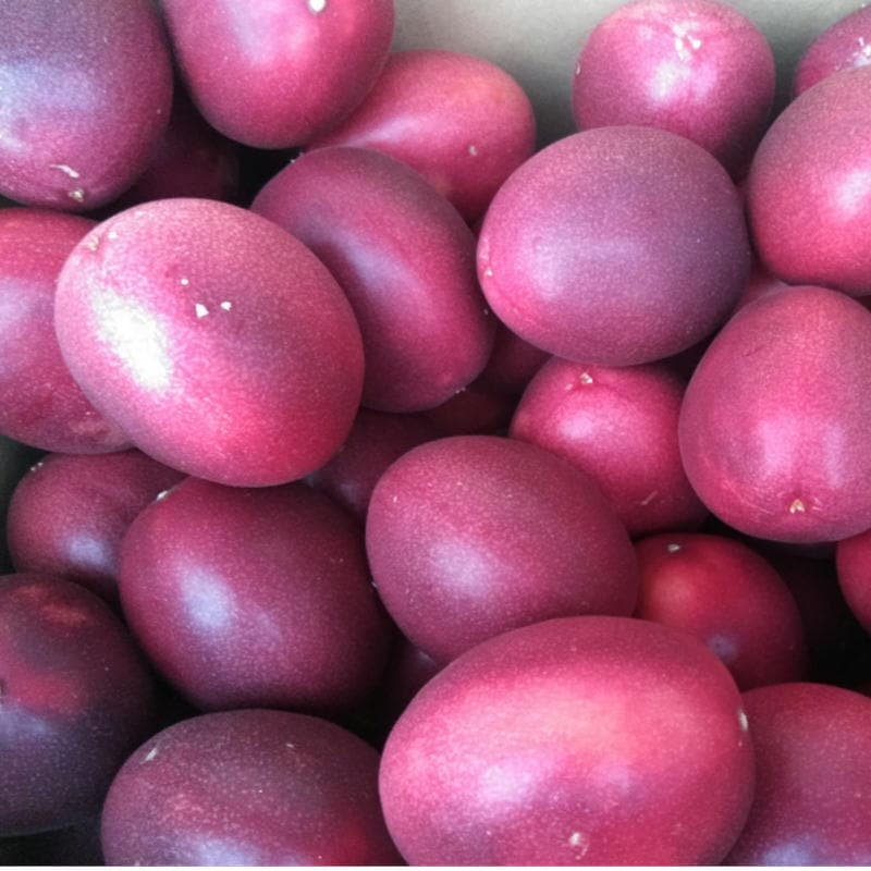 パッションフルーツ　大容量　4ｋｇ　熊本産　清田さんのパッションフルーツ　80サイズ 7,637円