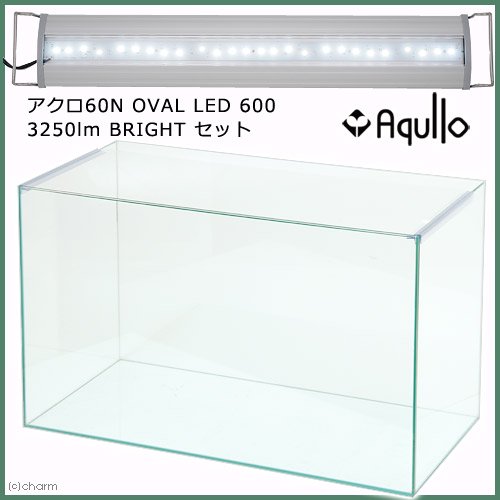 スーパークリア　アクロ６０Ｓ　ＯＶＡＬ　ＬＥＤ　６００　３２５０ｌｍ　ＢＲＩＧＨＴ　セット　お一人様１点限り　ＣＲＣ10―11―03―50―30