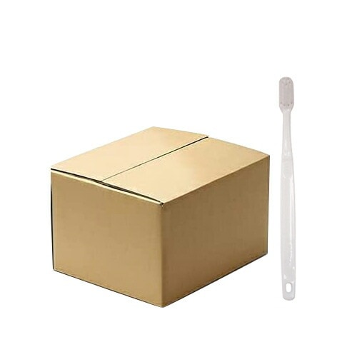 使い捨て歯ブラシ(ハミガキ粉無し) 2000本(1ケース)セット 業務用歯ブラシ 【宅配便】
