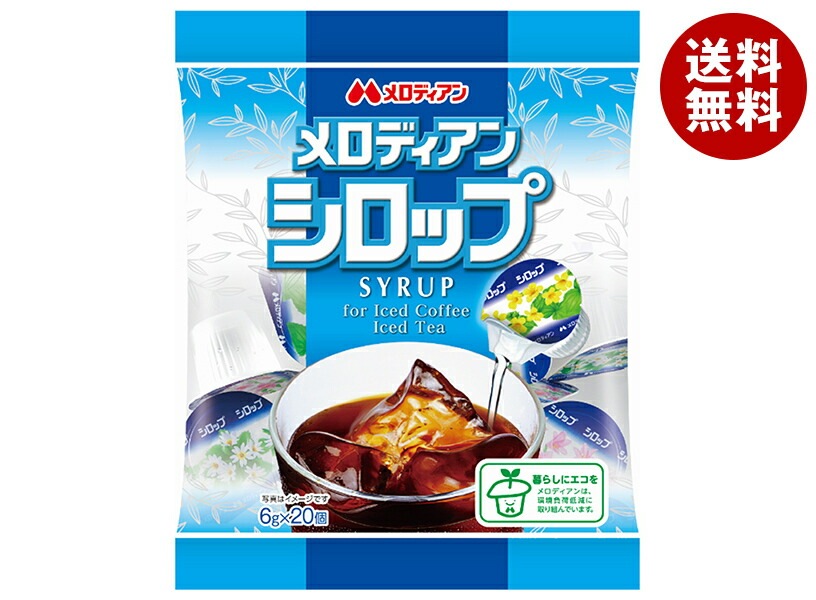 メロディアン メロディアンシロップ20P (6g＊20個)＊20袋入＊(2ケース)