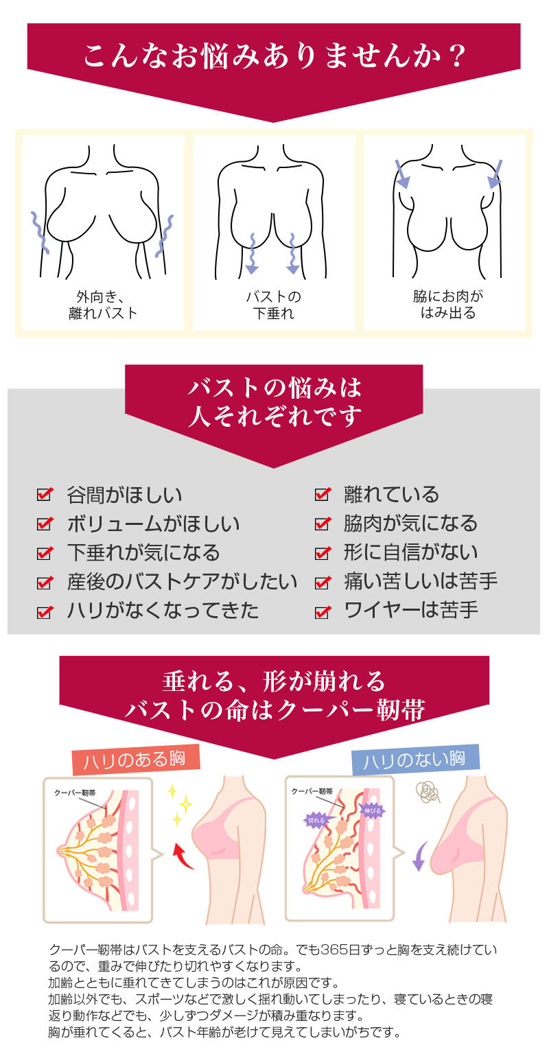 ブラジャーブラジャー美胸 ブラ 下着 丸胸 もちもち ノンワイヤー ブラジャー Tシャツブラ Tシャツ インナー 3AC