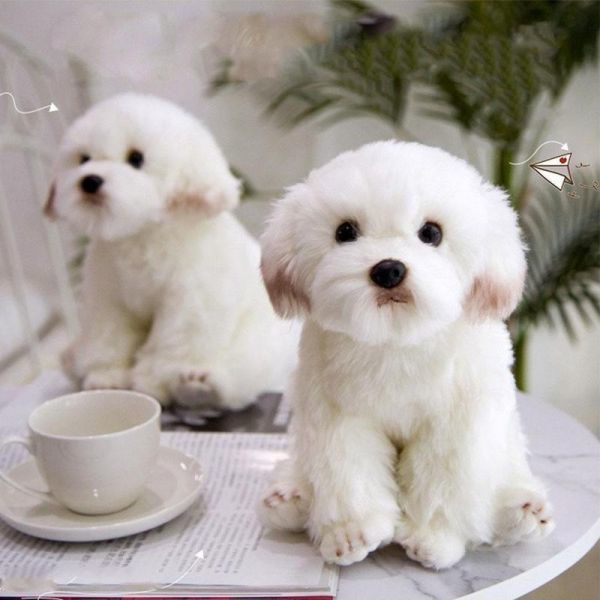 マルチーズ ぬいぐるみ リアル プレゼント インテリア オブジェ 抱き 子犬 犬 ドッグ lhb045