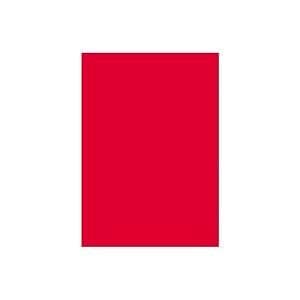 (業務用2セット)大王製紙 再生色画用紙/工作用紙 四つ切り 100枚2セット きんぎょ(あか)