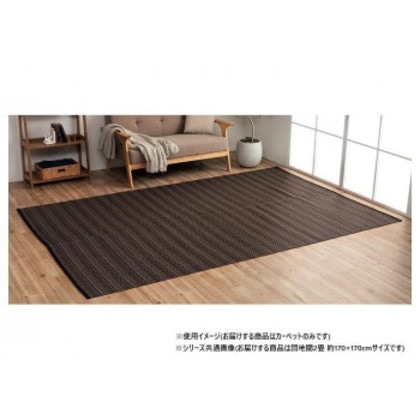 日本製 洗えるい草調カーペット ブラウン 団地間2畳 約170×170cm 1090031060202