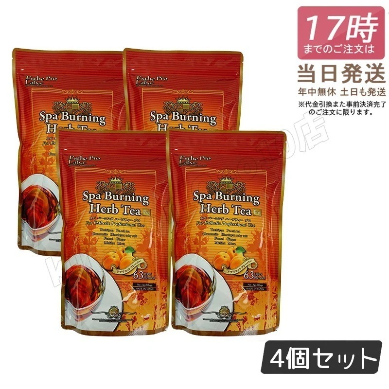 【4個セット】エステプロラボ スパ バーニング ハーブティー プロ 3g×30 日本製 Esthe Pro Labo ハーブティ ダイエット スッキリ 天然素材 おいしい オーガニック 代謝系