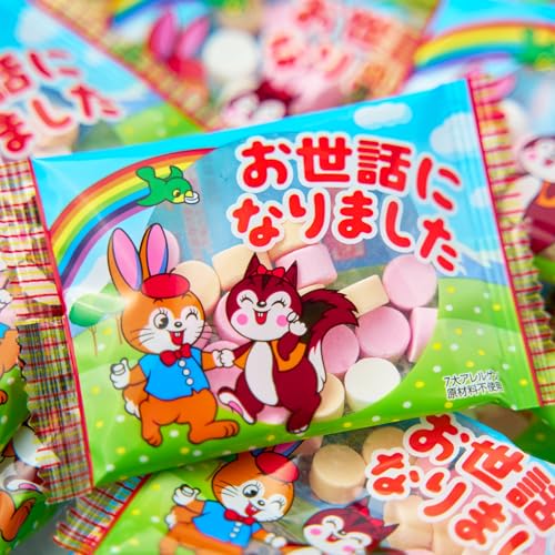 まいガム工房 クッピーラムネ (50個 入 600g / 個包装) 退職 お菓子 お世話になりました 4,650円