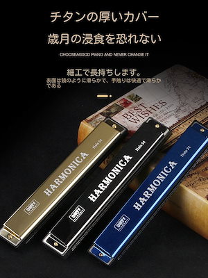 24穴ハーモニカ複音初心者学者学生児童成人独学入門c調ハーモニカ演奏楽器