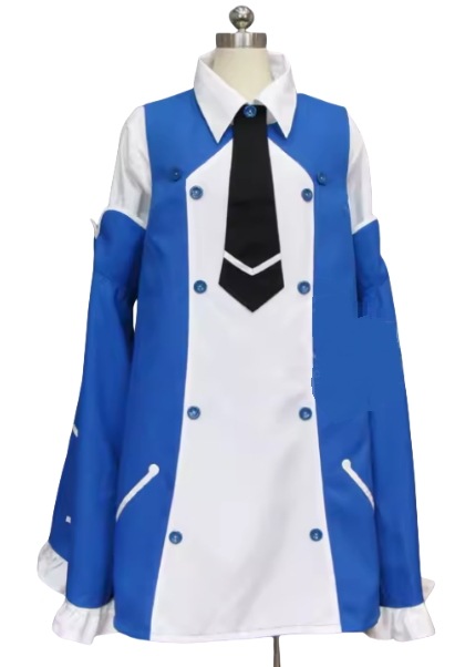 エコー コスプレ衣装舞台演出服 ハロウィン イベント 学園祭 クリスマス仮装サアニメの制作を受ける男女兼用 (ウイッグ 道具 靴