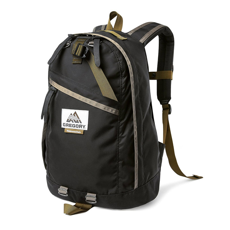 TNT GREGORY Daypack