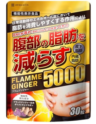 他サイト： フラムジンジャー 機能性表示食品 脂肪を減らす ダイエットサポートサプリ 30粒 (1)の商品画像