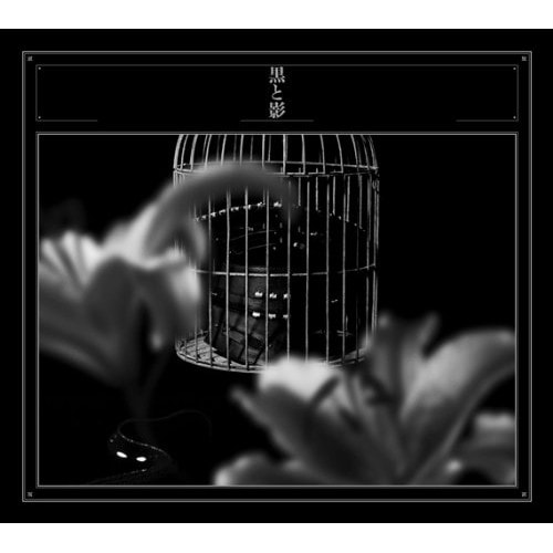 黒夢 ／ 黒と影(初回限定盤)(DVD付) (CD) AVCD-38835