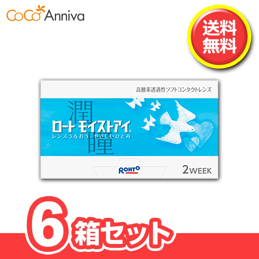 ロートモイストアイ　6箱セット　2週間使い捨てコンタクトレンズ