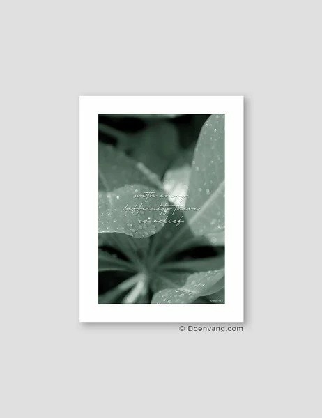 Doenvang BOTANIC MALDIVES 2020 #1, WITH 1