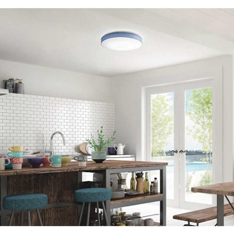 大光電機　LED照明 シーリングライト 8畳 調光 調色 リモコン付属 ブルー　DXL-81396 8,160円