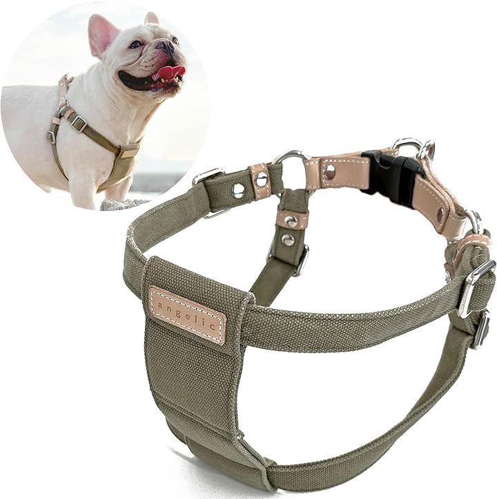 ハーネス 胴輪 犬用 ヌメ革 調節可能 リード olive オリーブ( olive（オリーブ）)
