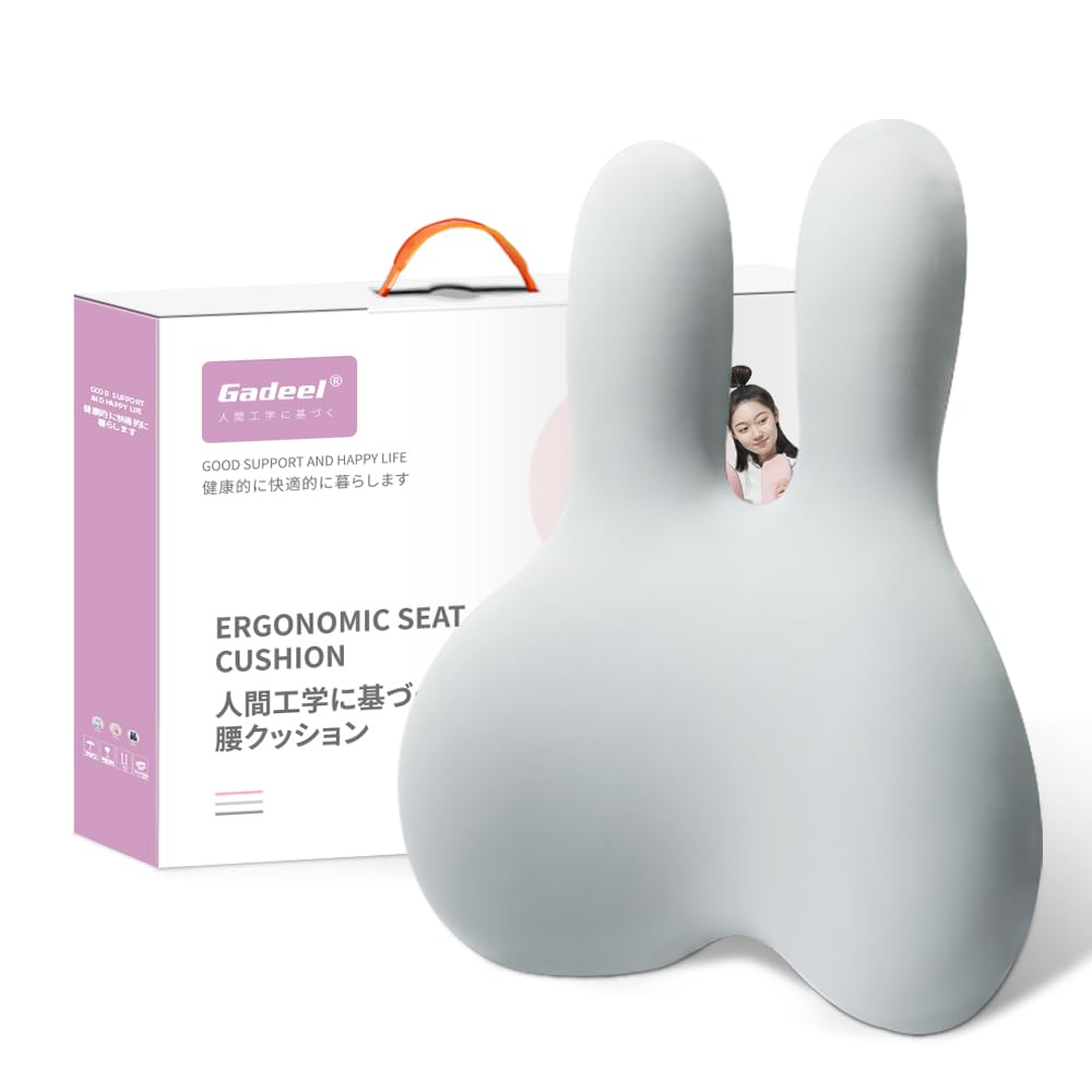 腰痛クッション 低反発 ランバーサポート 背もたれクッション 人間工学 通気性 かわいいリラックスクッション 取付バンド調節可能 カバー洗える 使用場所 オフィス/車中/自宅/プレ 53489
