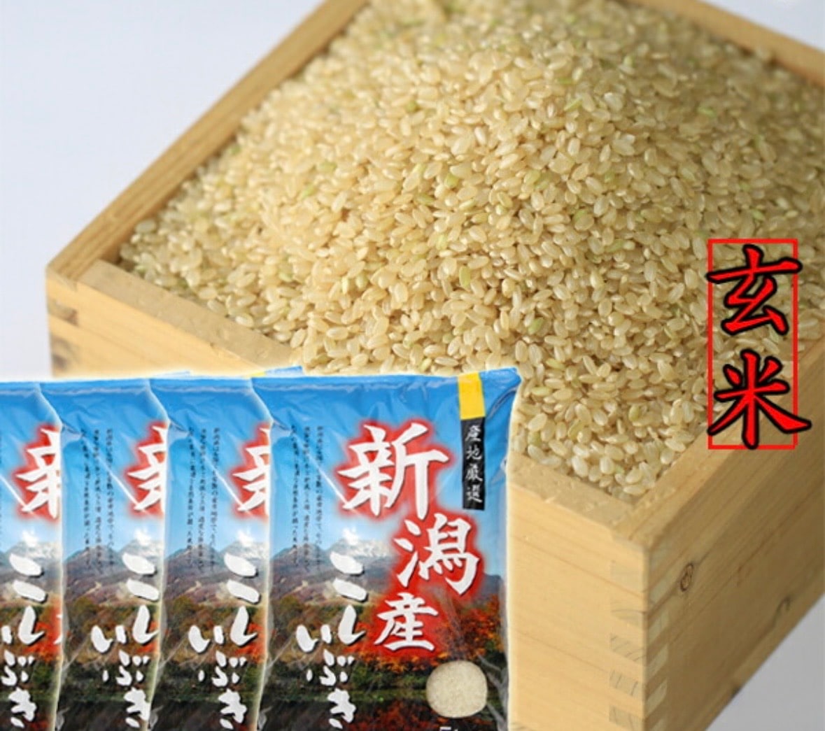新潟県産　こしいぶき 玄米 20キロ 令和７年産 新潟産 米 玄米20ｋｇ 高級米 おいしいお米 美味しいお米 産地直送 農家の米　コシヒカリの郷小出農場