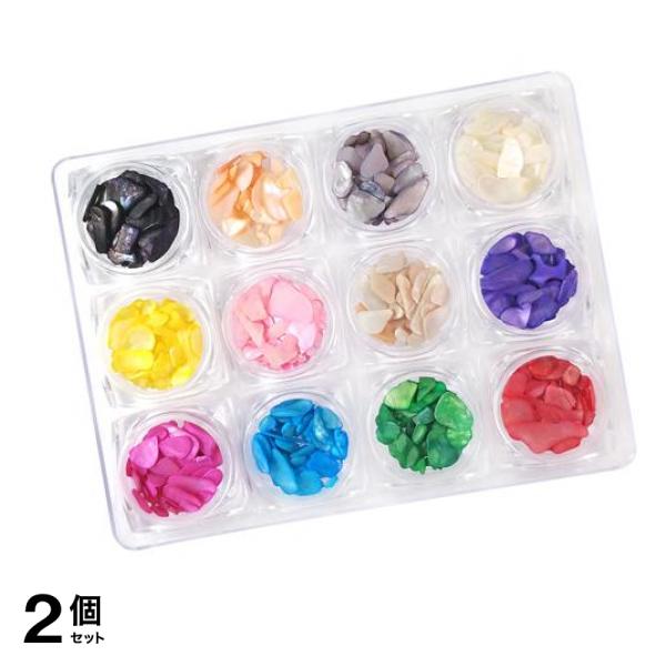 ICEGEL(アイスジェル) ネイルアート材 ビッグシェルストーン 約1.7g× 12色入 2個セット