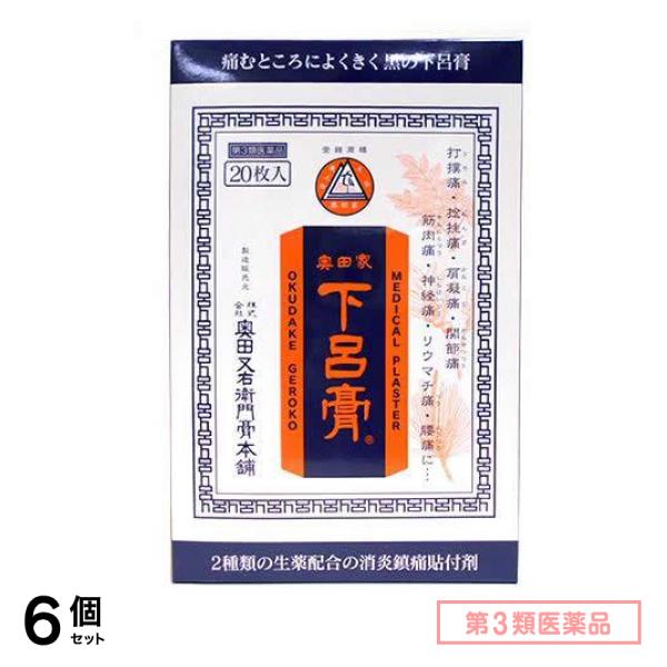 第３類医薬品 奥田家下呂膏(げろこう) 20枚入 6個セット