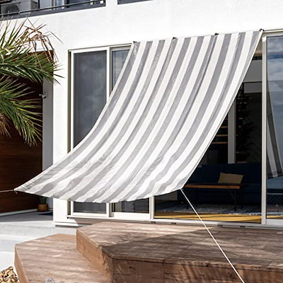 蝶の標本 ムカシヒカゲ 「3頭」