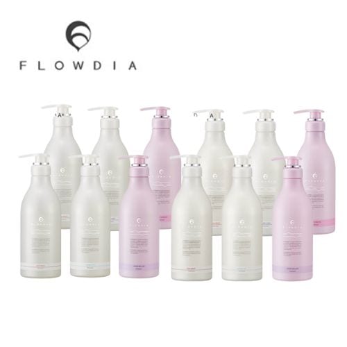 【選べる種類】デミ フローディア シャンプー 550ml ＆トリートメント 550g セット 細毛 軟毛 普通毛 乾燥髪 ダメージ髪 艶 ヘアケア ボリューム サラサラ ダメージ