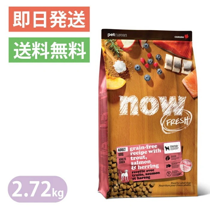 ナウフレッシュ グレインフリー フィッシュ アダルト 2.72kg 普通粒 レギュラー粒 ドッグフード NOW FRESH