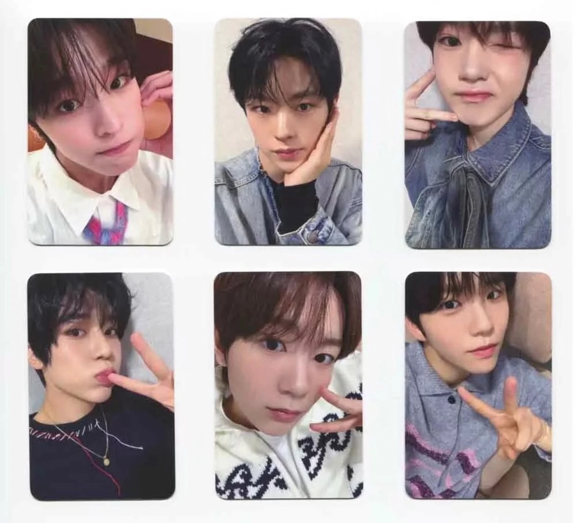 公式 nct wish Steady WM3.0 特典 サイン会 nctwish 特典トレカ 公式グッズ 全員6枚セット