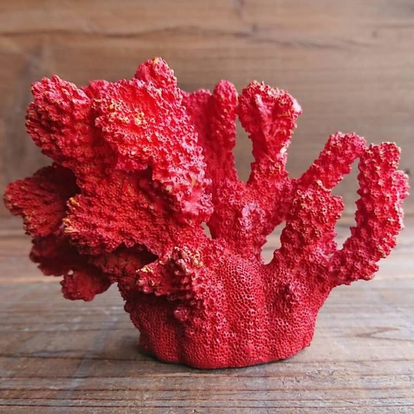 Qoo10] オブジェ 置き物 インテリア雑貨 家具 : 家具・インテリア