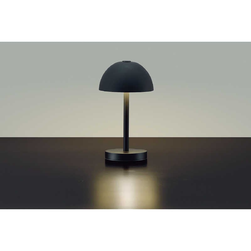 大光電機　LEDインテリアスタンド ［LED /電球色］　DXL-81495