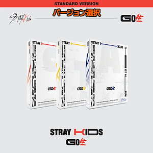 straykids アルバム go生