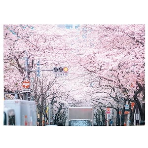 タペストリー 韓国 北欧 大判 おしゃれ 夕焼け 美しい桜 花見 日の出 青い空と海 ビーチ 壁掛け