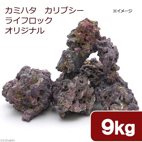 カミハタ　カリブシー　ライフロック　オリジナル　９．０ｋｇ　バクテリア付き　ＣＲＣ10―35―90―30―00