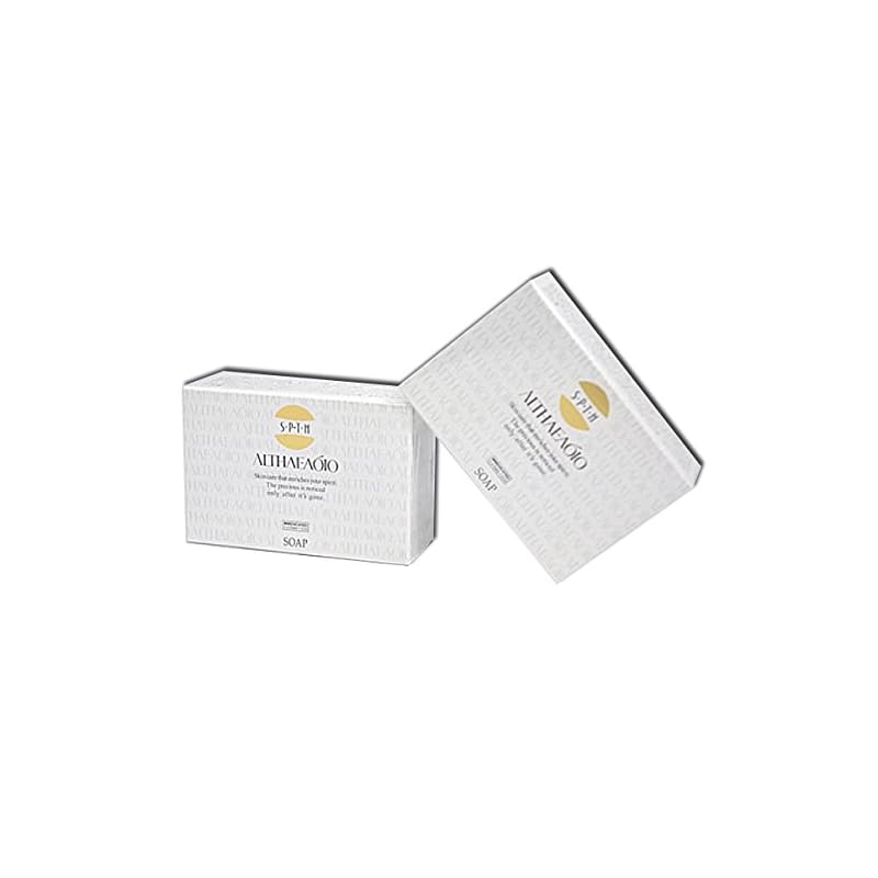 セプテム エルテオ ソープ レフィル 100g2個セット 16,334円