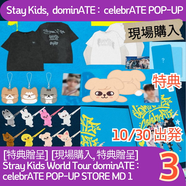 【コンプ】celebrATE POP-UP 購入特典 トレカ 8枚 Stray Kids スキズ JYP POPUP ポップアップ 購入特典 トレカ