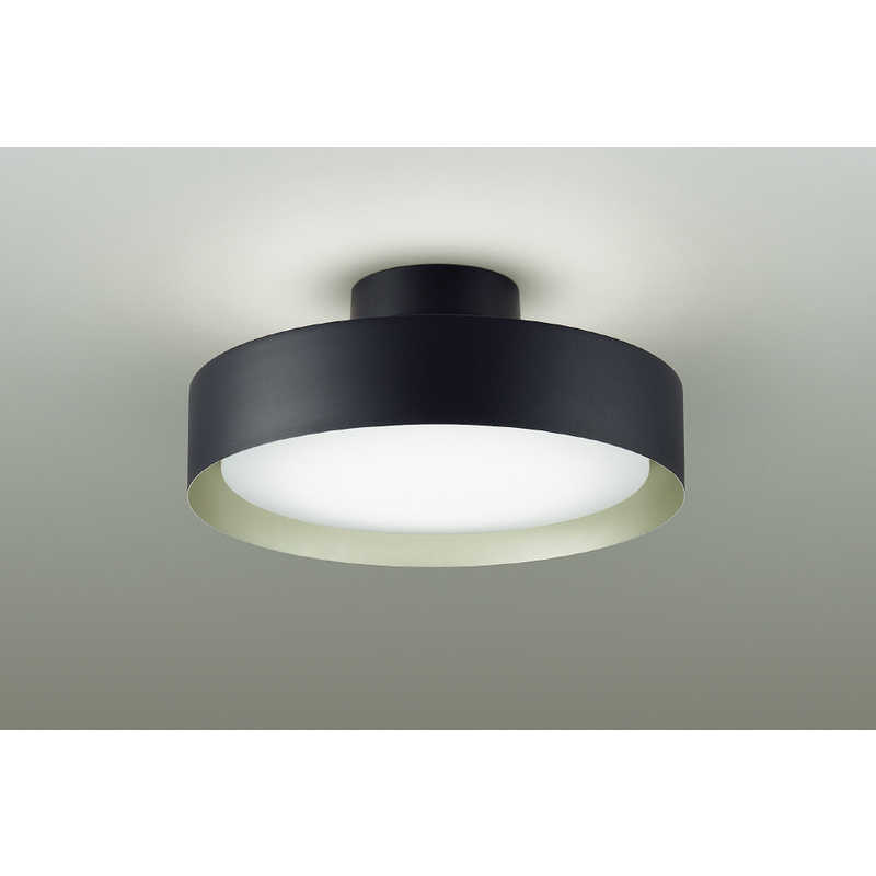 大光電機　LED照明 シーリングライト 12畳 調光 調色 リモコン付属　DXL-81492