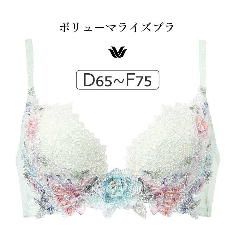 ワコール プレミアム 22G BXD422シリーズ ボリューマライズブラ ブラジャー単品 DEFカップ アンダー65/70/75cm BXD722