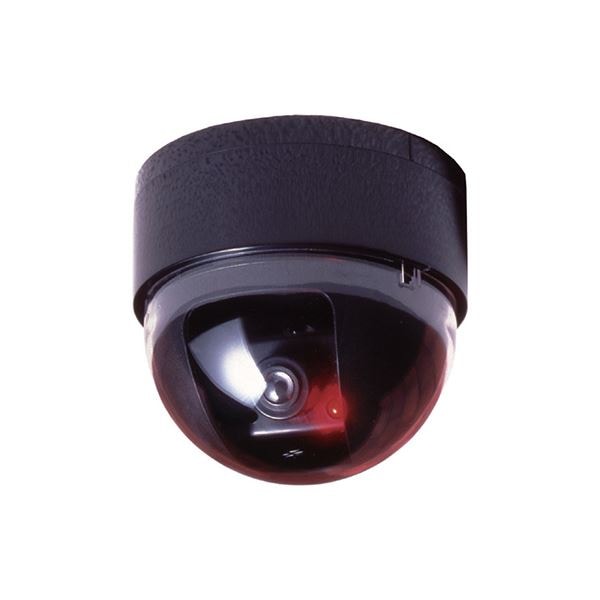 [3セット] スマイルキッズ　ドーム型防犯ダミーカメラ　ADC204X3