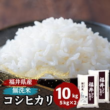 【数量限定】無洗米　福井県産コシヒカリ10kg(5kg2袋)　単一原料米　白米 令和6年産