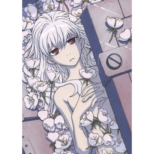 DARKER THAN BLACK-流星の双子-4 (DVD) ANSB-9484