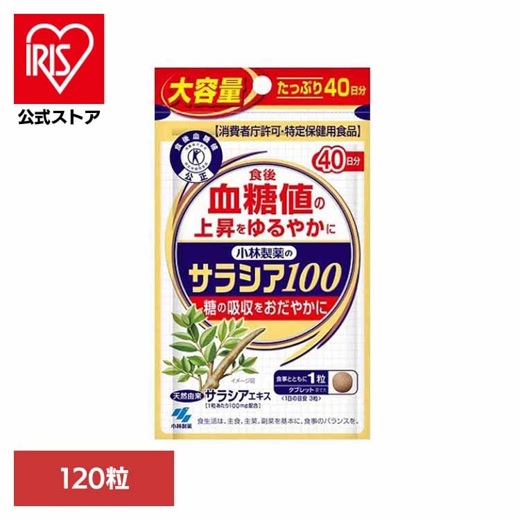 血糖値 サラシア 特定保健用食品 サラシア100 120粒