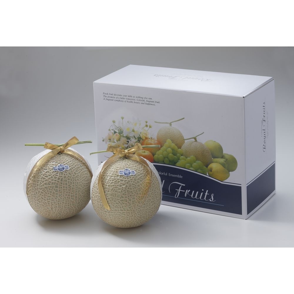 (グルメギフト)静岡産マスクメロン(2玉)