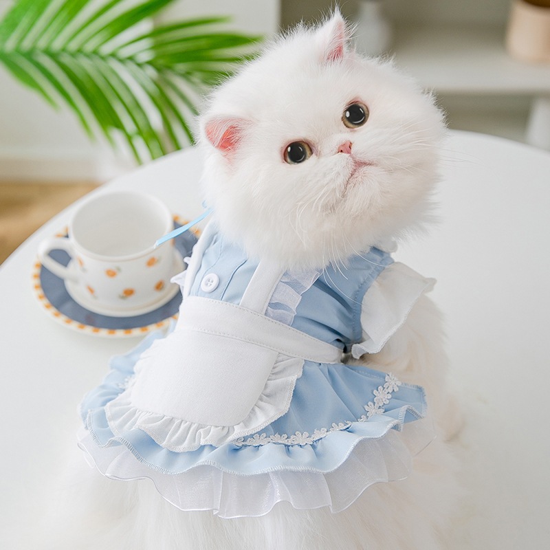 ​限​定​販​売​ 定番のお歳暮 春の猫のリボンの蝶ネクタイのレースのメイドの服の新型猫の王女のスカートの2足の犬のペットの服